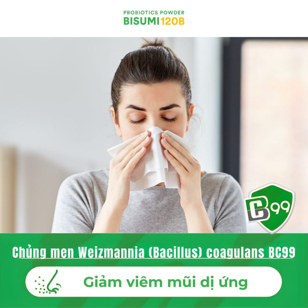 Giảm viêm mũi dị ứng