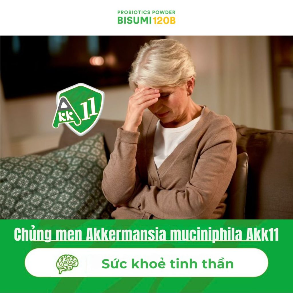 Alzheimer và trục ruột não: Tiềm năng của Akkermansia muciniphila Akk11 trong hỗ trợ chức năng thần kinh